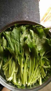 家常菜蒜蓉炒菜心做法图解1)