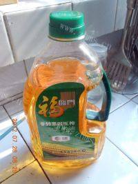 自己做的油煎水饺做法图解2)