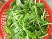 家常菜蒜蓉芥菜苗做法图解2)