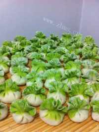 美味的白菜饺子