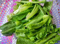家常菜蚝油油麦菜做法图解2)