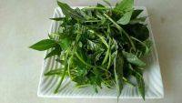 家常菜蒜香红薯叶做法图解2)