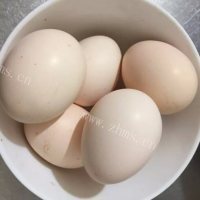美味的沓菜馍做法图解5)
