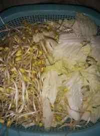 家常菜水煮肉片做法图解1)