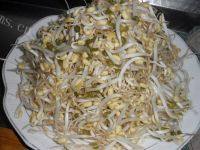 家常菜绿豆芽炒肉丝做法图解1)