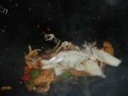家常菜香辣五花肉