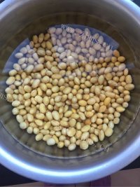 营养丰富的黄豆豆浆做法图解3)
