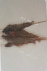 美味的蒜蓉烤虾做法图解1)