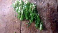 特色美食葱拌咸菜做法图解4)