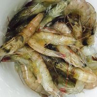 好吃的虾仁豆腐做法图解1)
