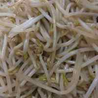 家常菜醋溜豆芽