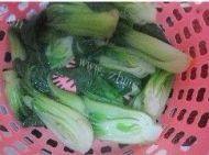 「绿色食物」香菇油菜做法图解5)