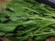 自制拌菠菜做法图解1)