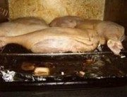 美味的脆皮冰梅鸭腿做法图解5)