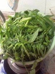 香喷喷的清炒空心菜做法图解1)