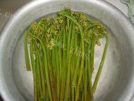 肉丝炒蕨菜做法图解2)