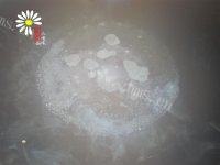 「美味可口」盐水虾做法图解6)