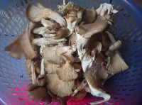 美味的老鸭菌菇汤做法图解1)