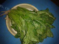 「DIY美食」清炒菠菜做法图解1)