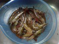 「DIY美食」香辣虾做法图解1)