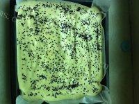 自己做的黑芝麻海绵蛋糕做法图解8)