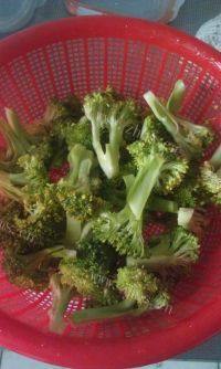 家常菜茄汁西兰花做法图解1)