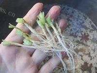 酥嫩咖喱土豆牛肉做法图解3)
