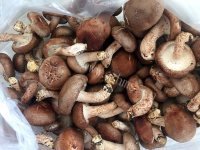美味的香菇扒菜胆做法图解1)