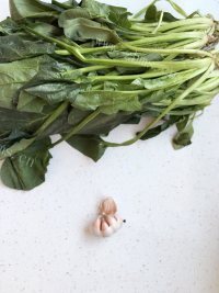 爽口的凉拌菠菜做法图解1)