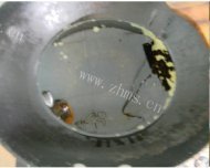 营养丰富的茄汁鲈鱼做法图解3)