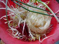 家常菜豆芽炒粉条做法图解1)