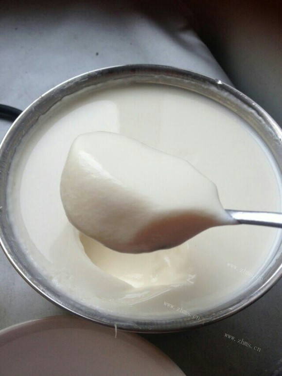 珍馐美味的自制酸奶