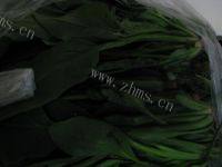 自制蛋酱菠菜做法图解1)