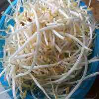 家常菜醋溜豆芽做法图解1)