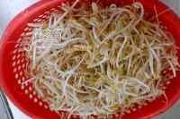 家常菜凉拌豆芽做法图解1)