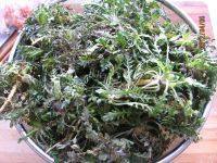 家常菜荠菜豆腐汤做法图解1)