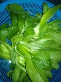 家常菜香菇青菜做法图解1)