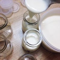 自制酸奶的做法图解八