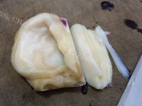家常荷兰豆炒鲍片做法图解5)