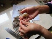 自制Q虾球做法图解2)