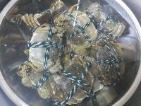 家常清蒸大闸蟹做法图解1)