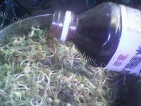 香醇的素炒豆芽做法图解8)