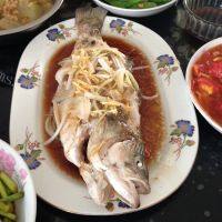 简易版清蒸鲈鱼