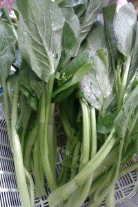 家常菜炒小油菜做法图解1)