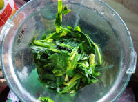 家常自制菠菜手擀面做法图解4)