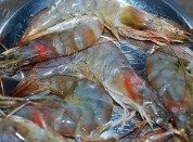 香菇酿做法图解1)