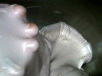 自己做的红酒葡萄干面包做法图解7)