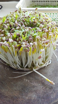 家常菜炝拌绿豆芽做法图解1)