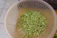 下火的自制金银花茶做法图解4)