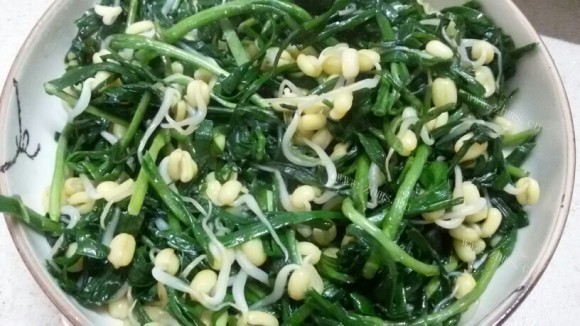 唇齿留香的韭菜炒豆芽